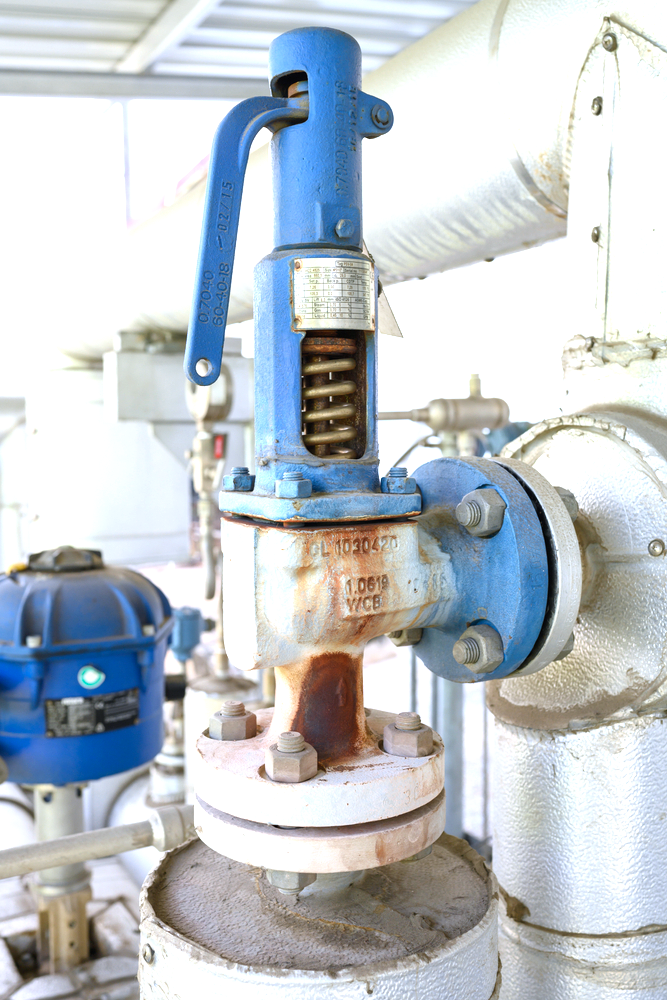 Safety Valve